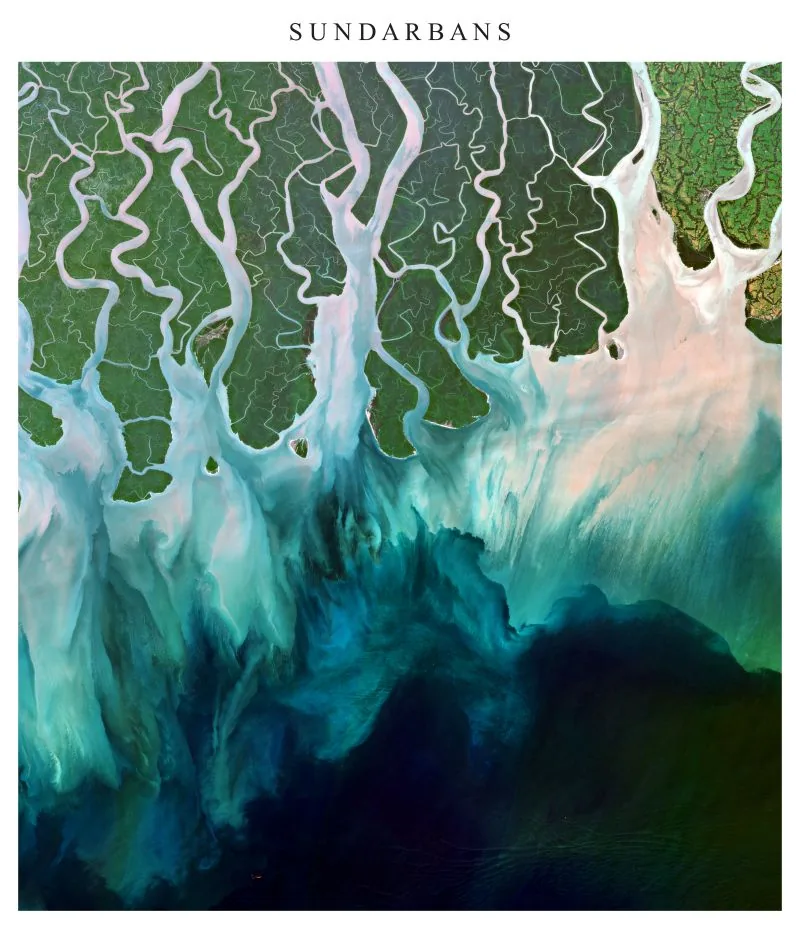 Sentinel-2 true-colour image of the Sundarbans mangrove forest and its tidal channels meeting the Bay of Bengal